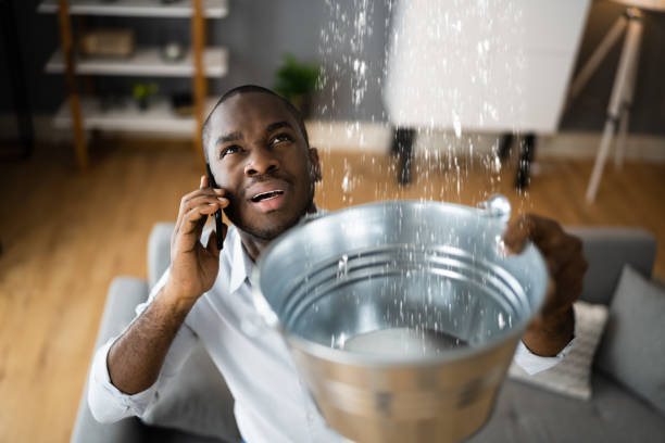 Best Emergency water damage restoration  in Trinity, FL