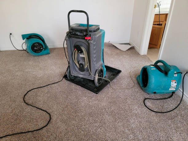 Best Flooded house restoration  in Trinity, FL