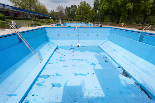 Best Basement water damage restoration  in Trinity, FL