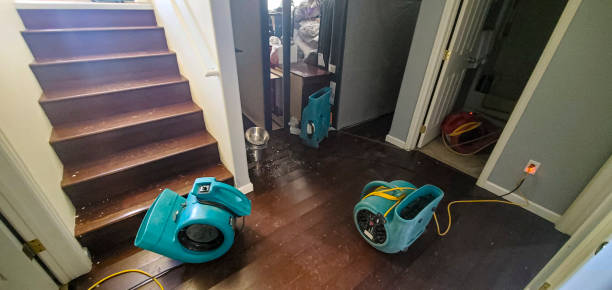  Trinity, FL Water damage restoration Pros