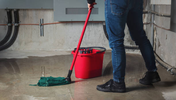 Best Commercial water damage restoration  in Trinity, FL