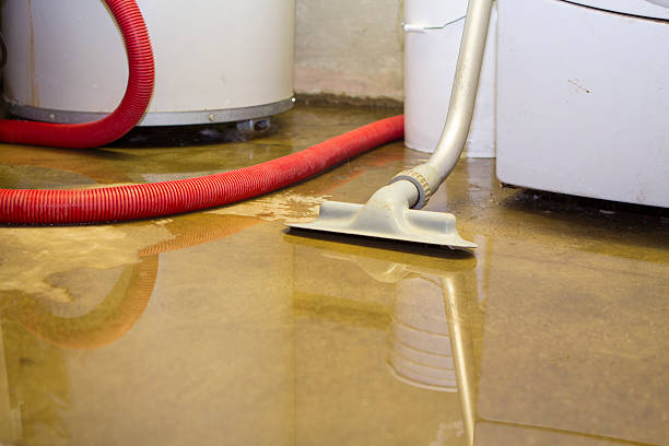 Best Residential water damage restoration  in Trinity, FL