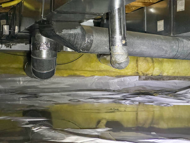 Best Mold removal after water damage  in Trinity, FL